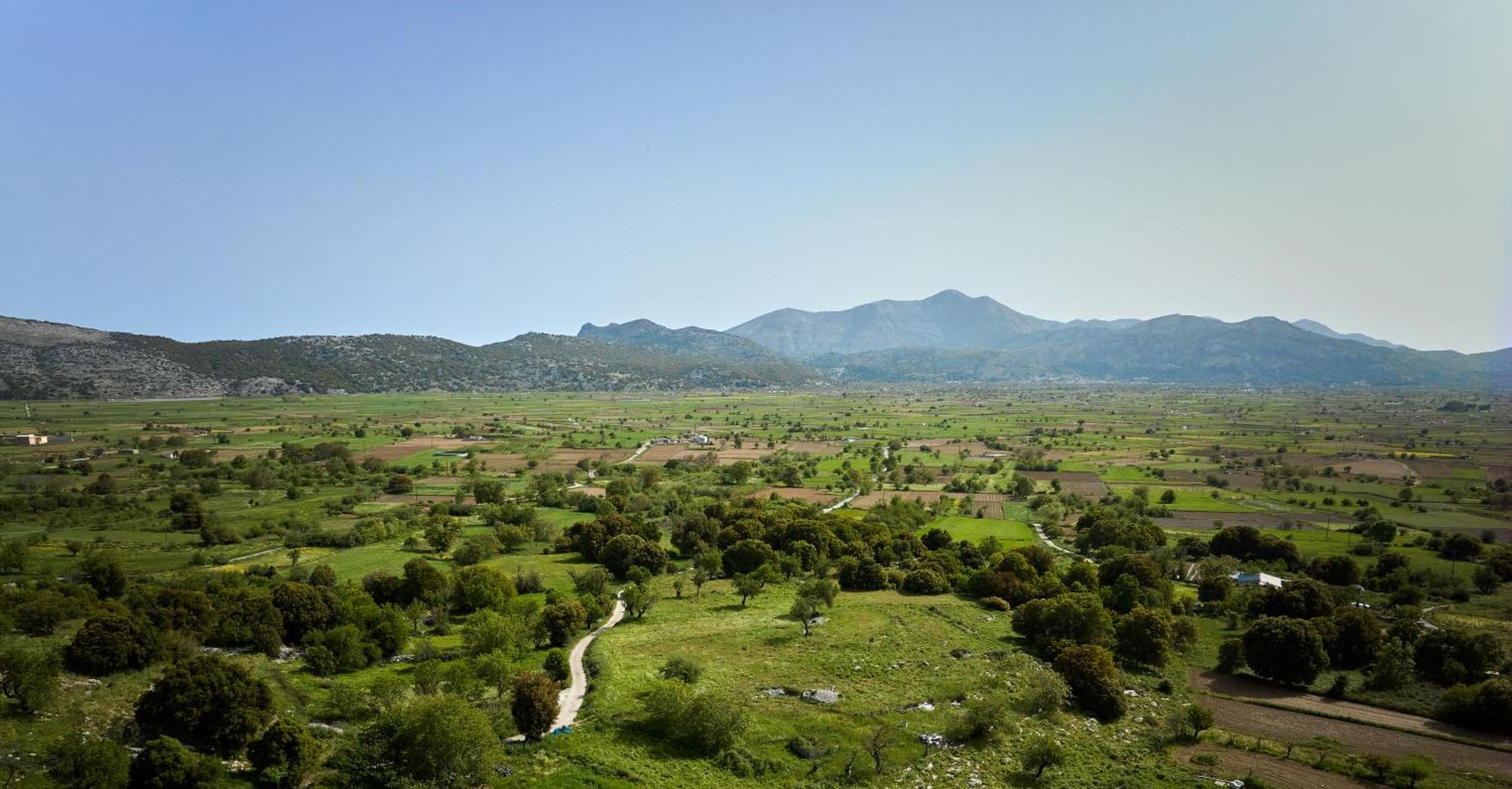 Mylostassi Villas With Balcony Plunge Pool Plati  Esterno foto