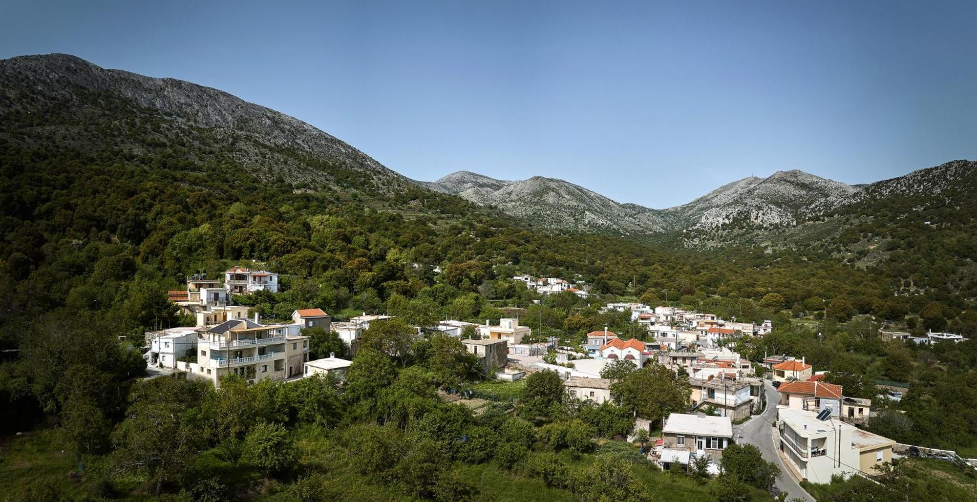 Mylostassi Villas With Balcony Plunge Pool Plati  Esterno foto